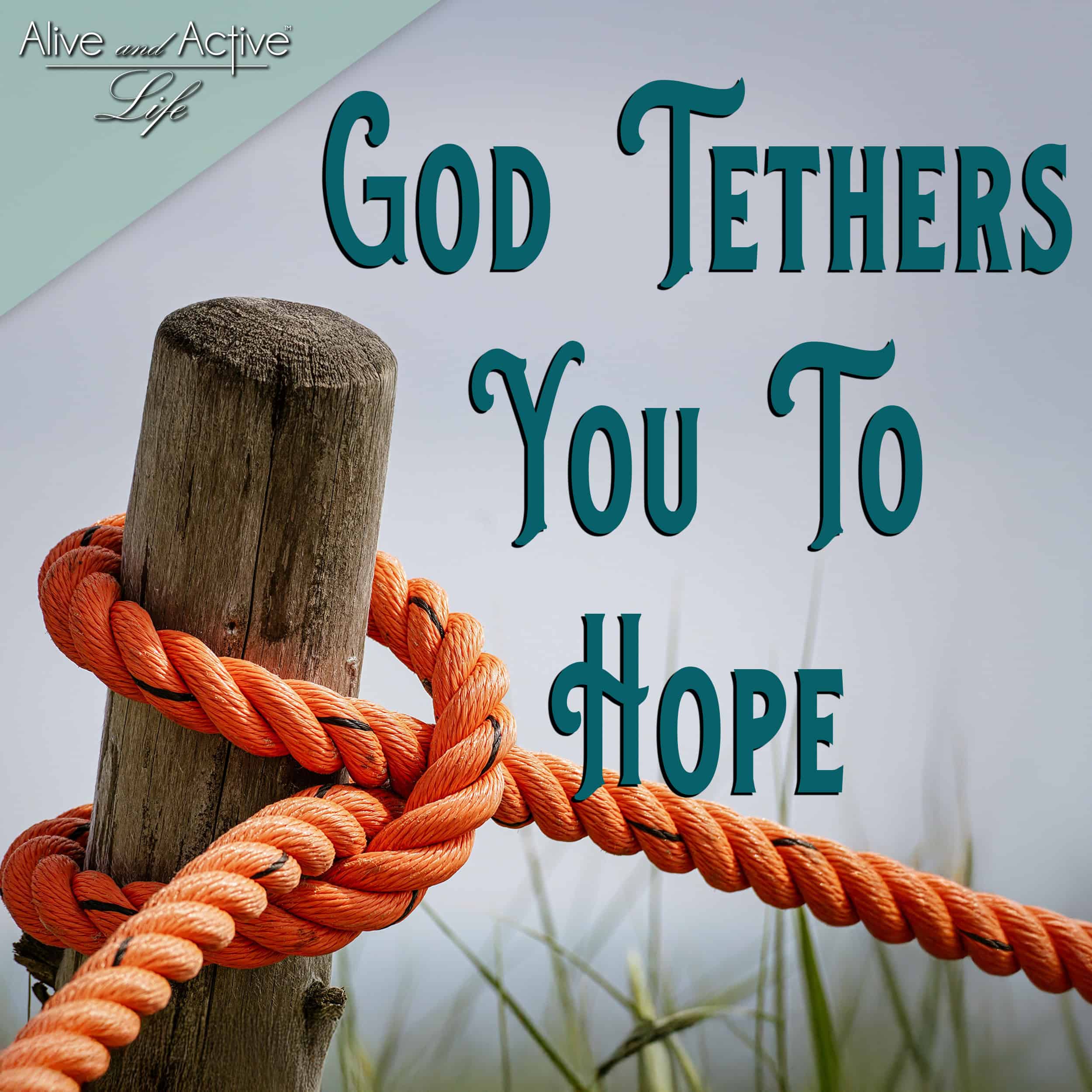 Alive and Active Life