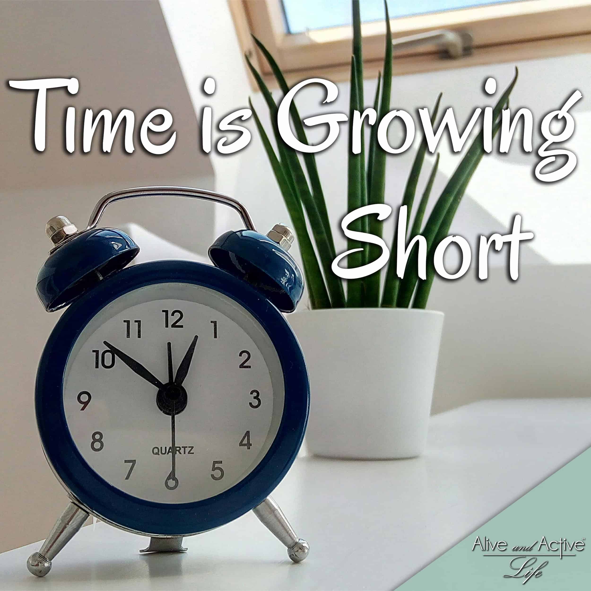 Alive and Active Life