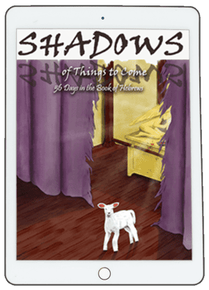 Shadows of Things to Come: 56 Days in the Book of Hebrews (eBook)