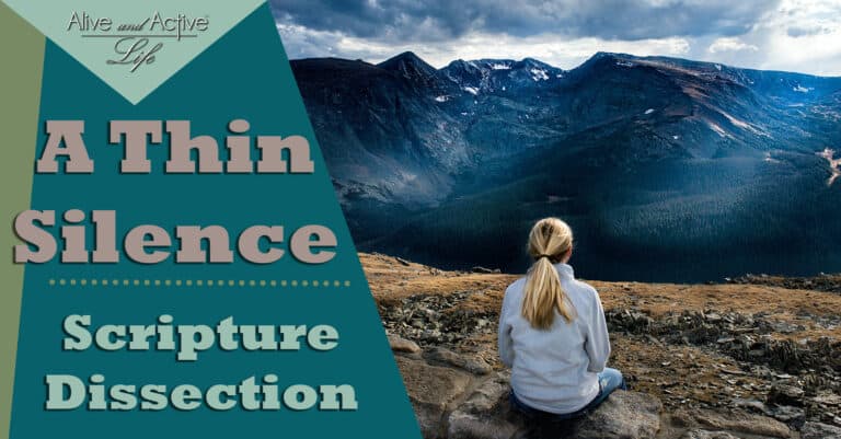 A Thin Silence A Thin Silence