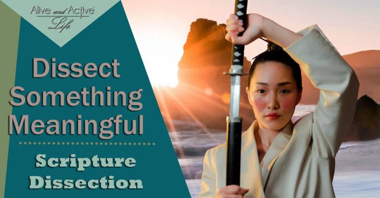 Dissect Something Meaningful Dissect Something Meaningful