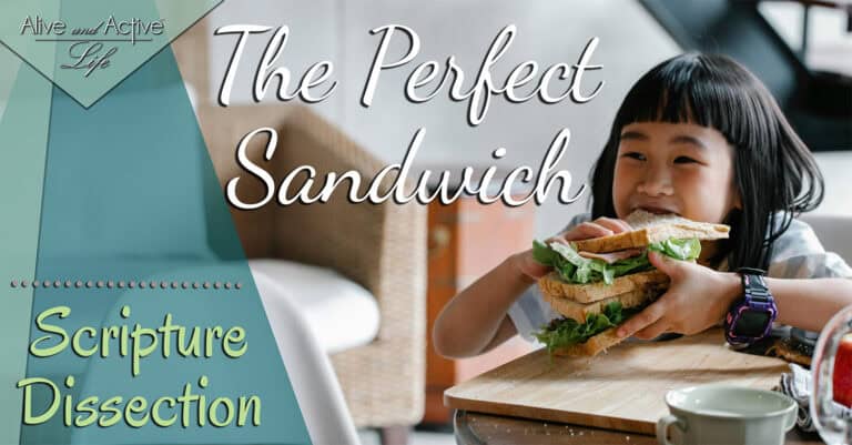 The Perfect Sandwich The Perfect Sandwich