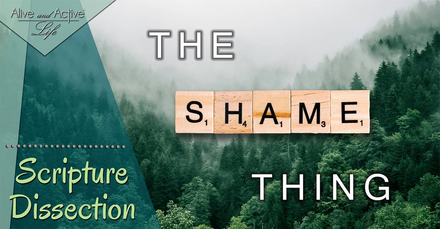 The Shame Thing The Shame Thing