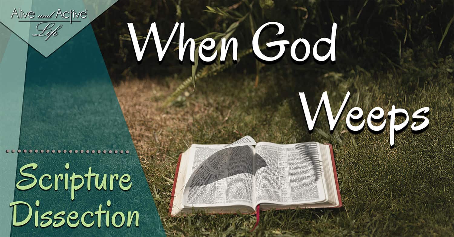 When God Weeps – Scripture Dissection When God Weeps - Scripture Dissection