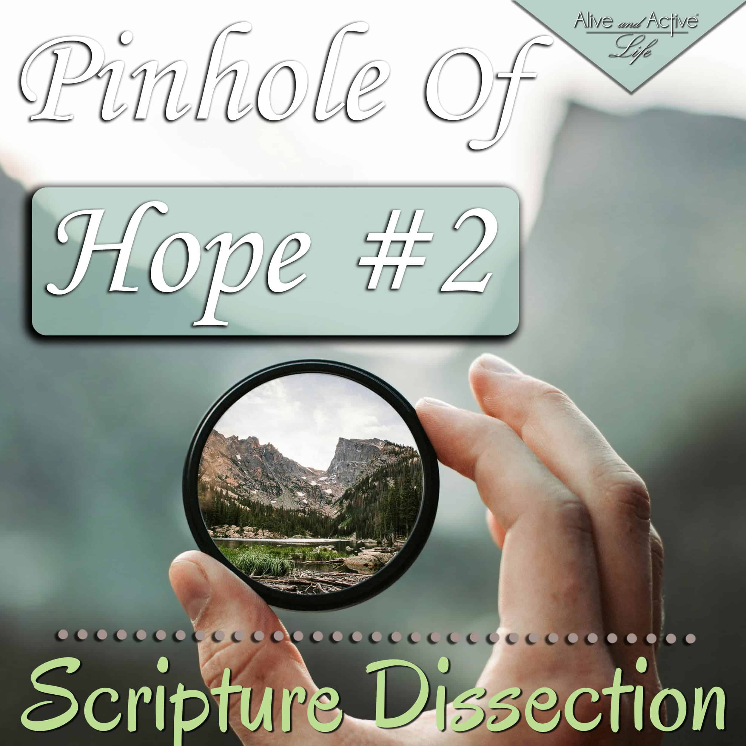 Alive and Active Life