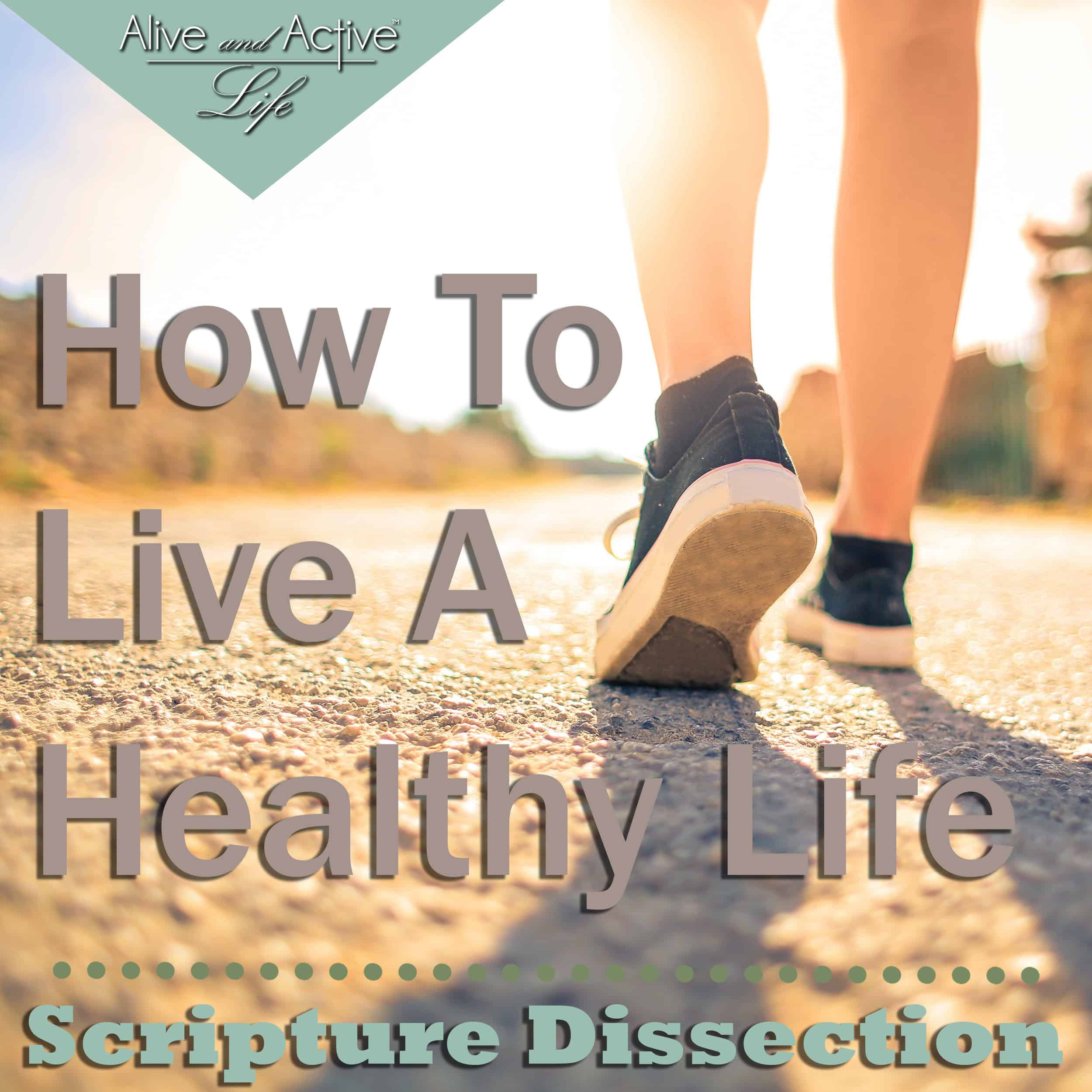 Alive and Active Life